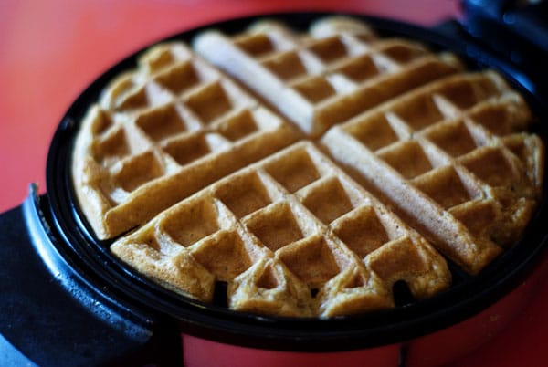Pumpkin Waffles w/ Praline Pecan Syrup 